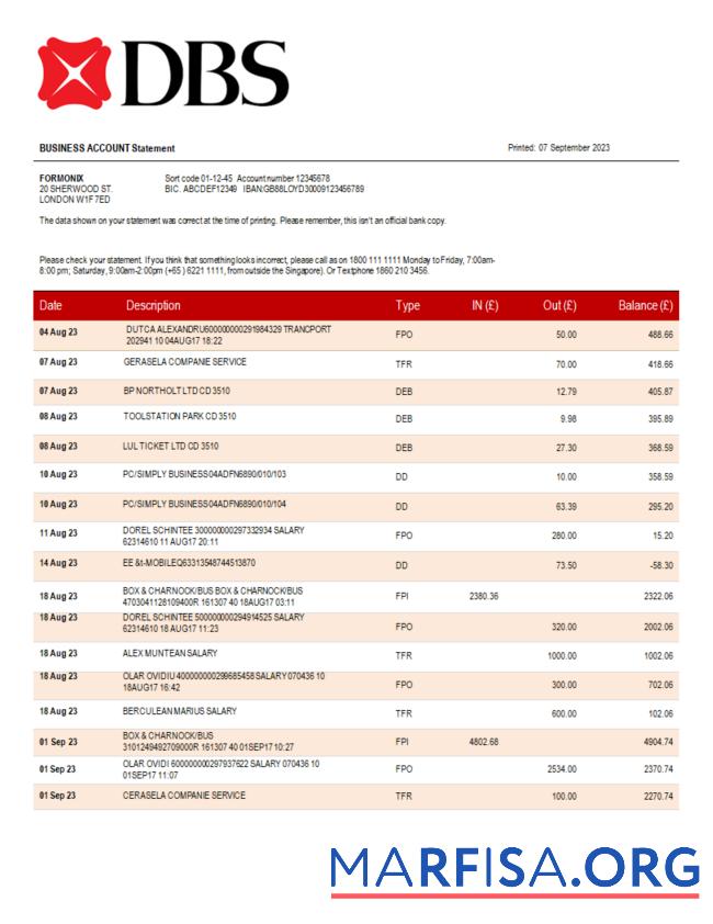 Blank DBS Bank organization checking account statement Word and PDF template